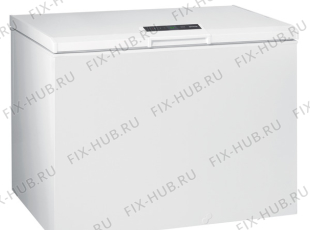 Холодильник Gorenje FH331IW (390390, ZS316E) - Фото